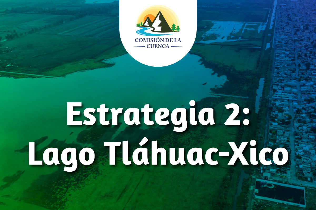 Estrategia Lago Tl Huac Xico Comisi N De La Cuenca